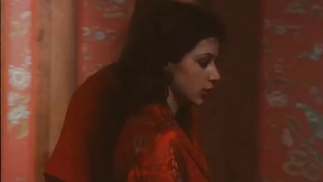 Hagyja, hogy a lányok befejezzék szexfilme az összeállítást